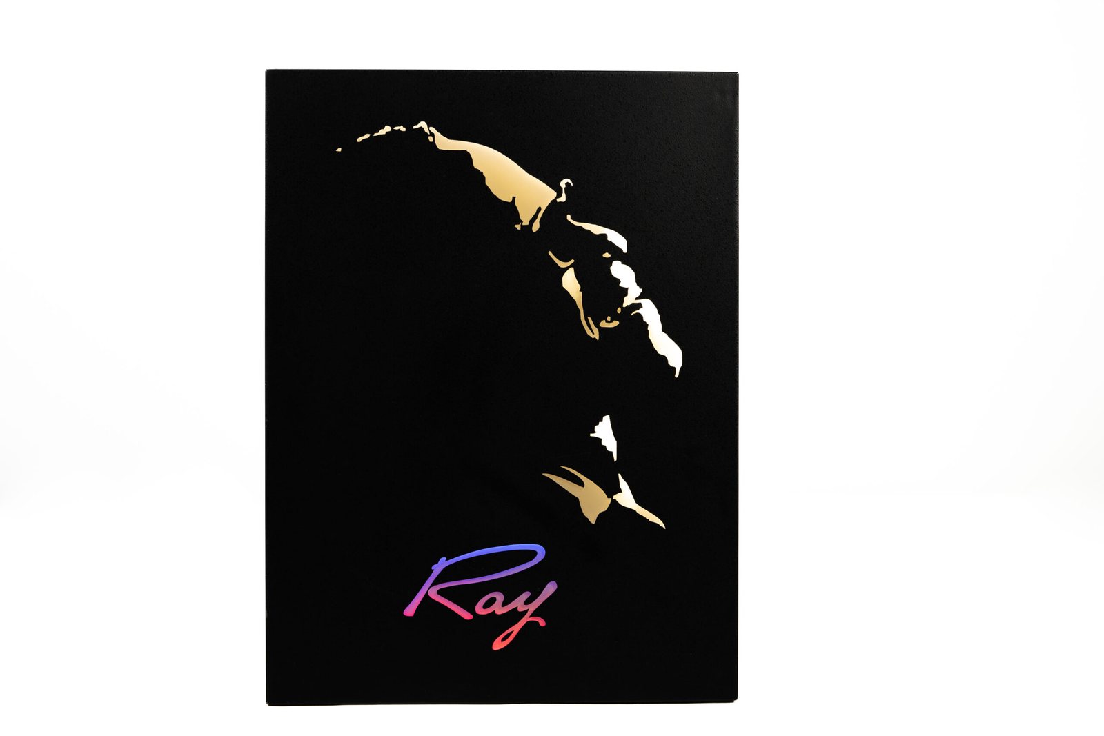 Flat resin-filled panel sign