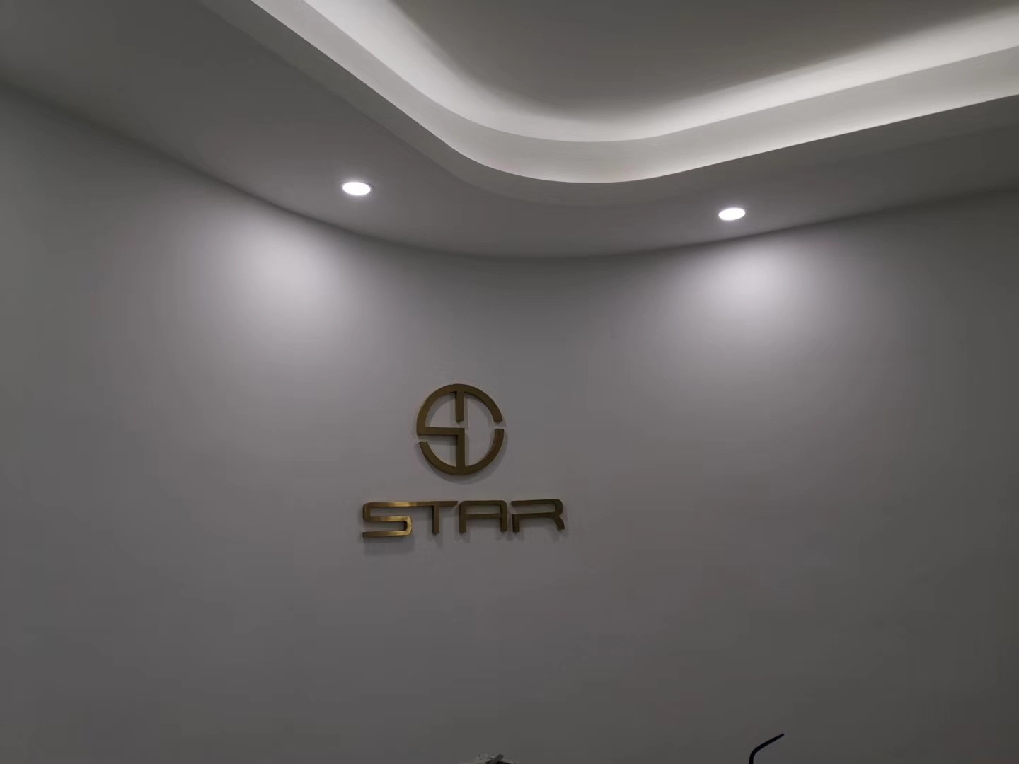 Fabricated Stainless Steel Signage with Electroplated Gold Finish for a Leading Chinese Electronics Brand插图1