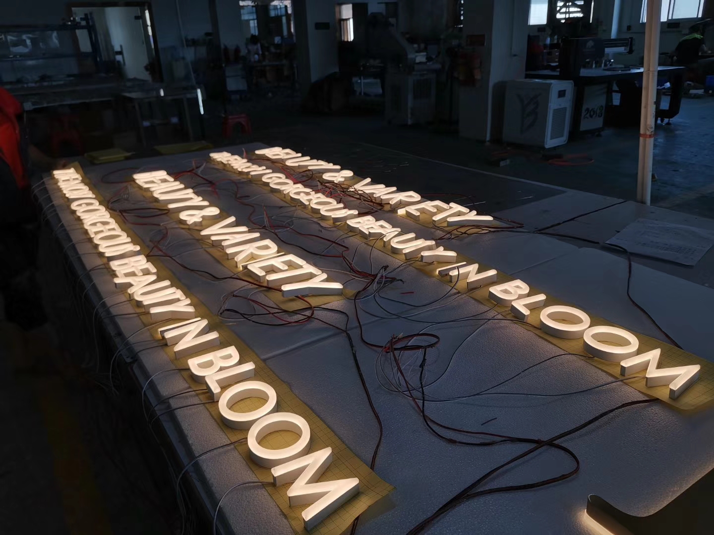 Premium Illuminated Letters by ACPSIGNS: Durability Meets Elegance插图